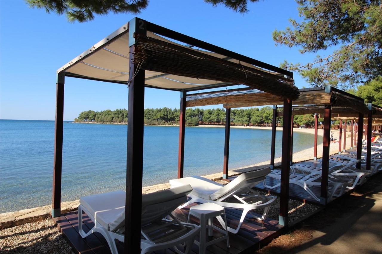 Irena A2 Daire Novigrad Istria Dış mekan fotoğraf