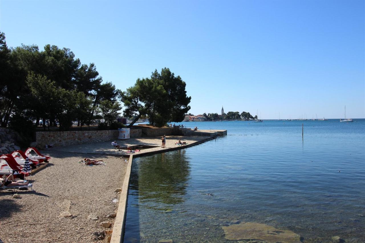 Irena A2 Daire Novigrad Istria Dış mekan fotoğraf
