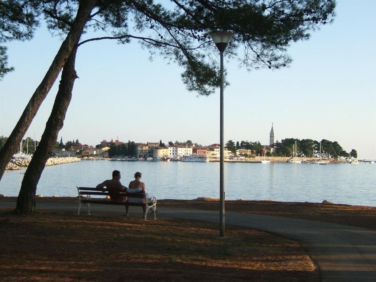 Irena A2 Daire Novigrad Istria Dış mekan fotoğraf