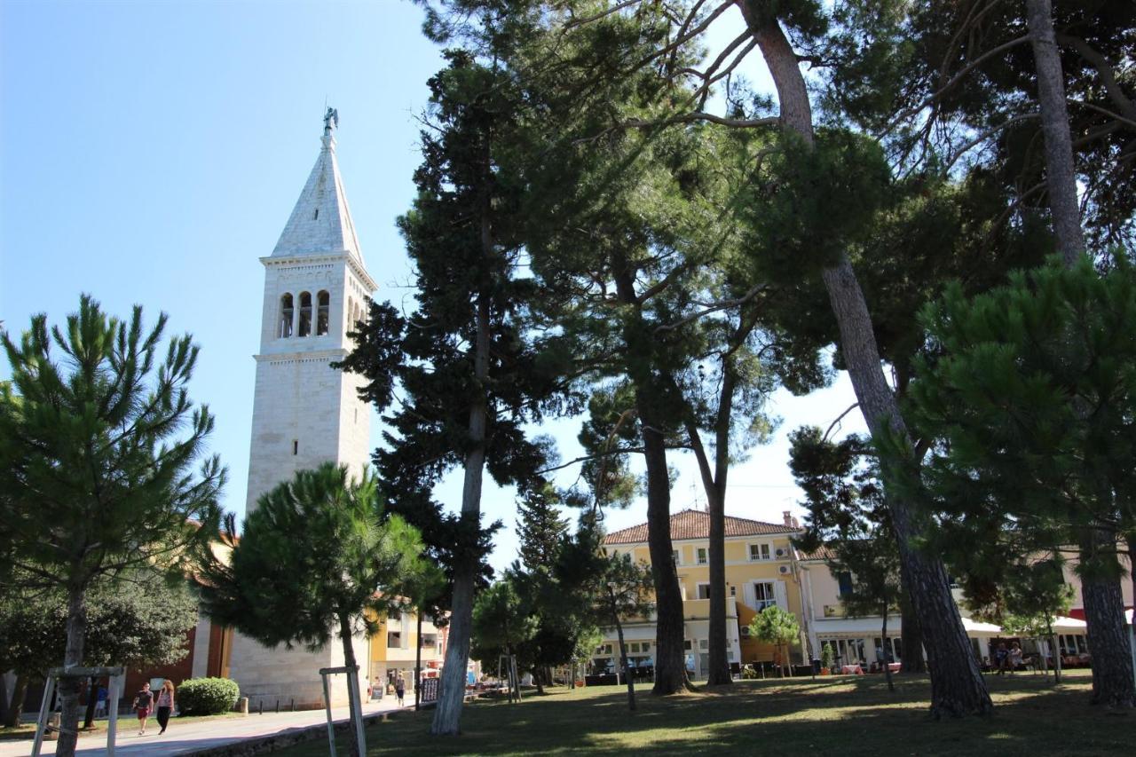 Irena A2 Daire Novigrad Istria Dış mekan fotoğraf