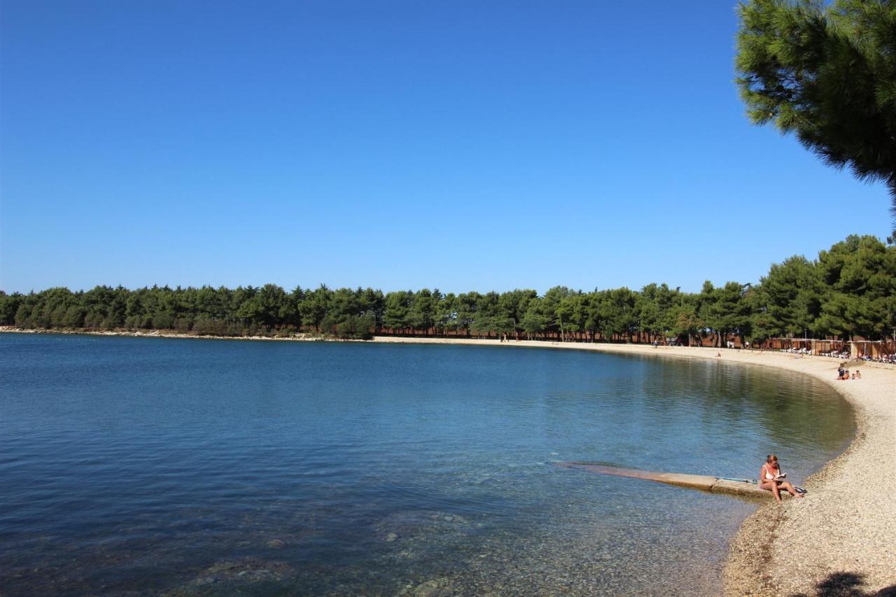 Irena A2 Daire Novigrad Istria Dış mekan fotoğraf